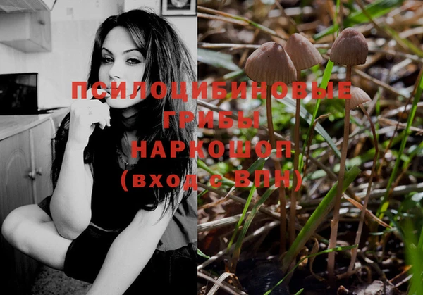 амф Балахна