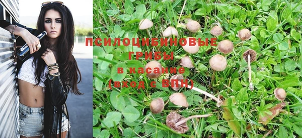 дживик Балабаново