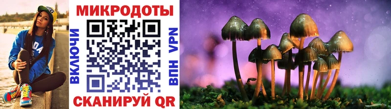 Псилоцибиновые грибы прущие грибы  Козьмодемьянск 